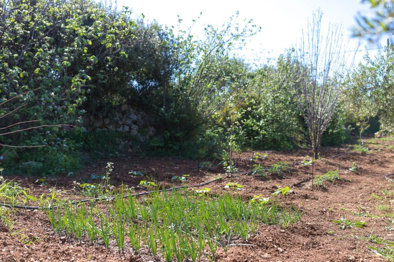 Vila Eden'S Garden Skouloúfia Exteriér fotografie
